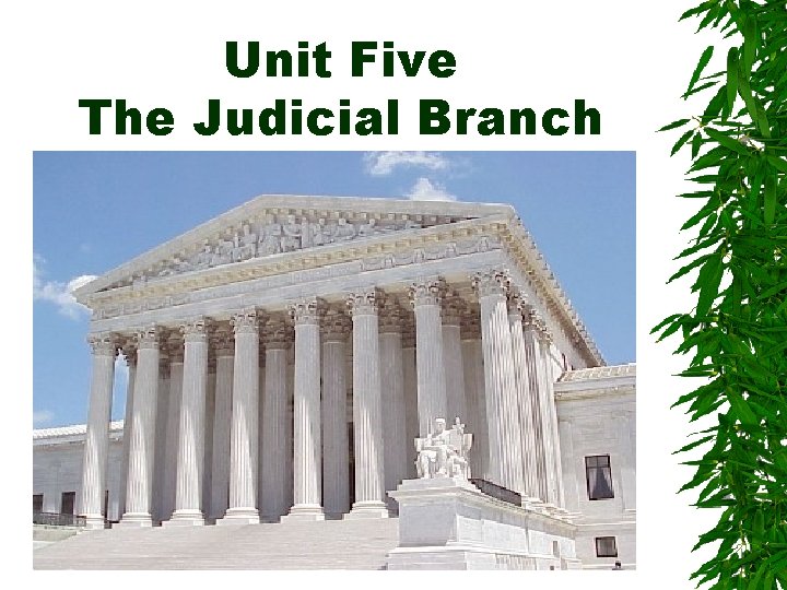Unit Five The Judicial Branch 