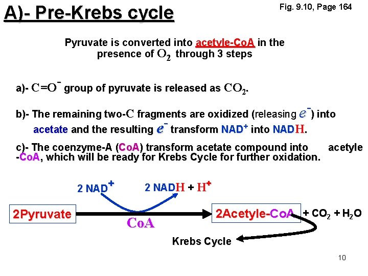Fig. 9. 10, Page 164 A)- Pre-Krebs cycle Pyruvate is converted into acetyle-Co. A