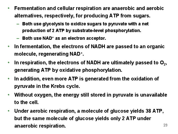 • Fermentation and cellular respiration are anaerobic and aerobic alternatives, respectively, for producing