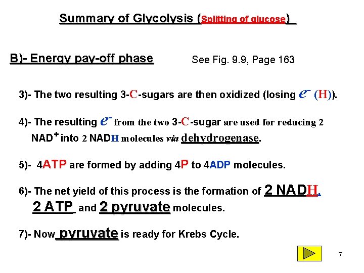 Summary of Glycolysis (Splitting of glucose) B)- Energy pay-off phase See Fig. 9. 9,