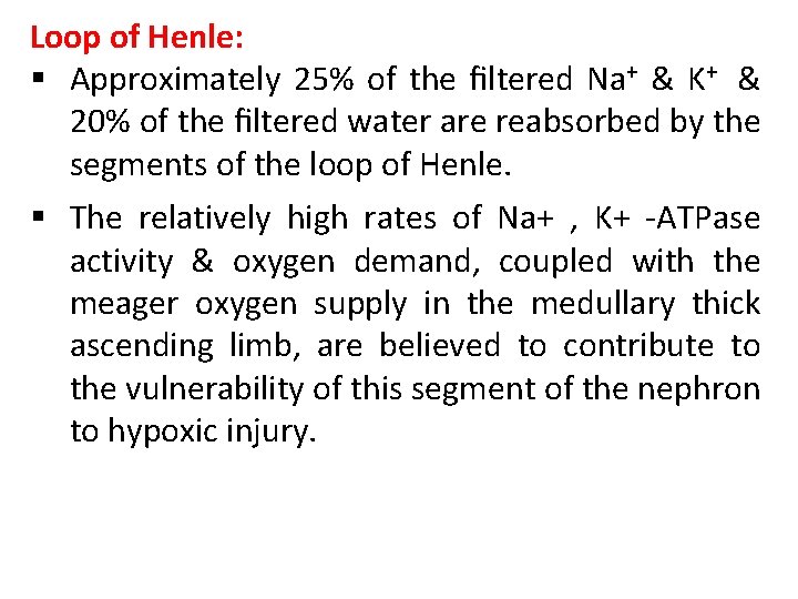 Loop of Henle: § Approximately 25% of the ﬁltered Na+ & K+ & 20%