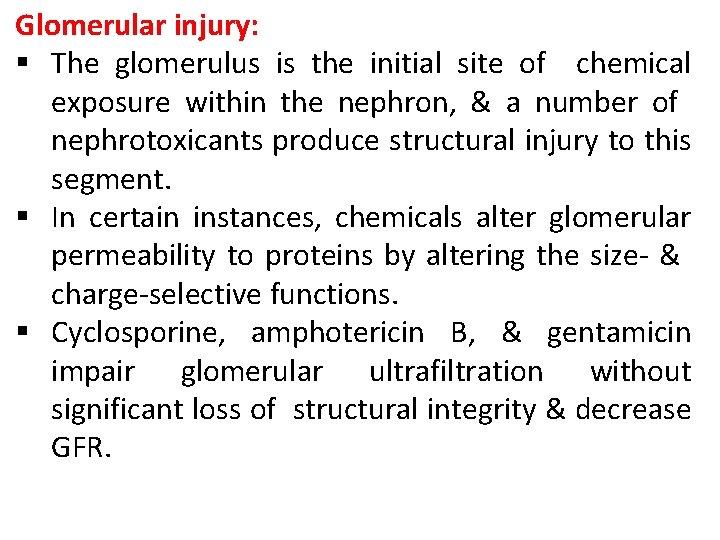 Glomerular injury: § The glomerulus is the initial site of chemical exposure within the