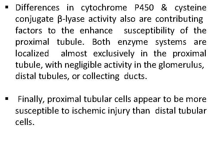 § Differences in cytochrome P 450 & cysteine conjugate β-lyase activity also are contributing