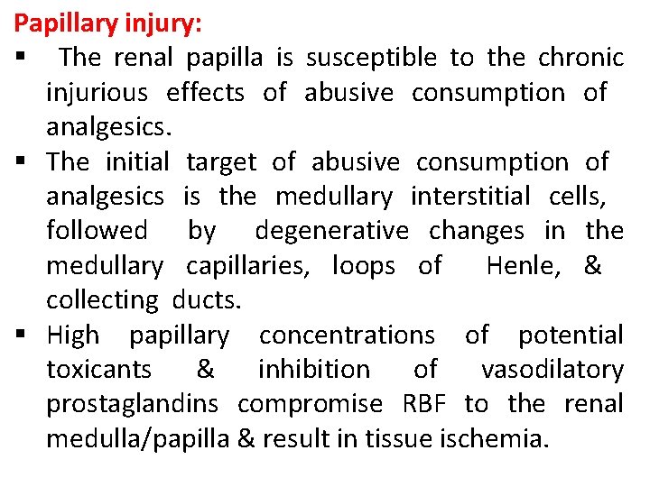 Papillary injury: § The renal papilla is susceptible to the chronic injurious effects of