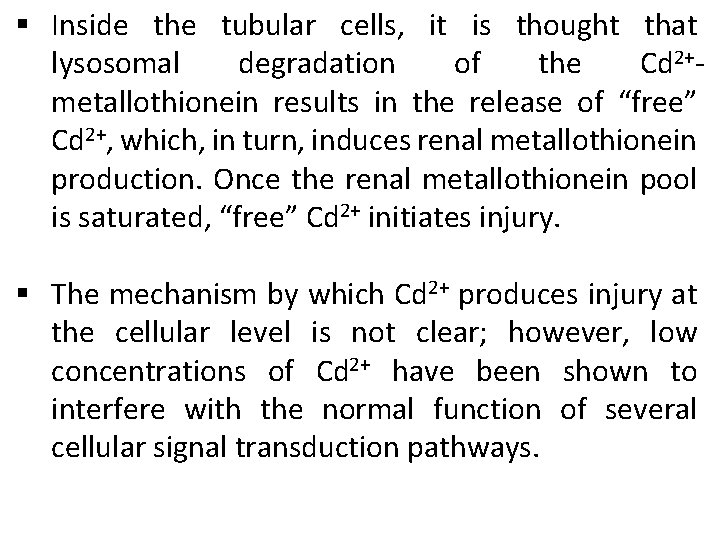 § Inside the tubular cells, it is thought that lysosomal degradation of the Cd