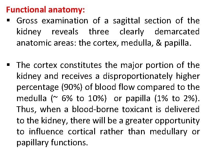 Functional anatomy: § Gross examination of a sagittal section of the kidney reveals three