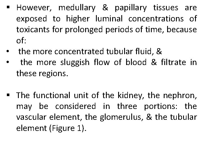 § However, medullary & papillary tissues are exposed to higher luminal concentrations of toxicants