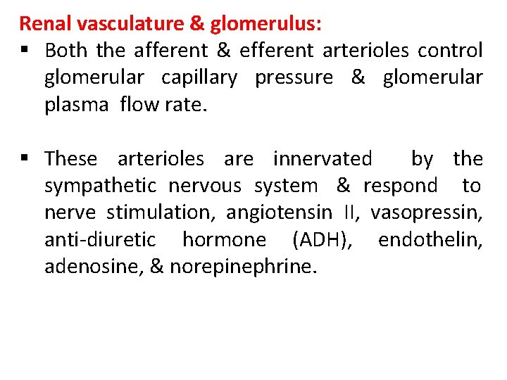 Renal vasculature & glomerulus: § Both the afferent & efferent arterioles control glomerular capillary