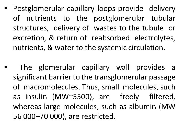 § Postglomerular capillary loops provide delivery of nutrients to the postglomerular tubular structures, delivery