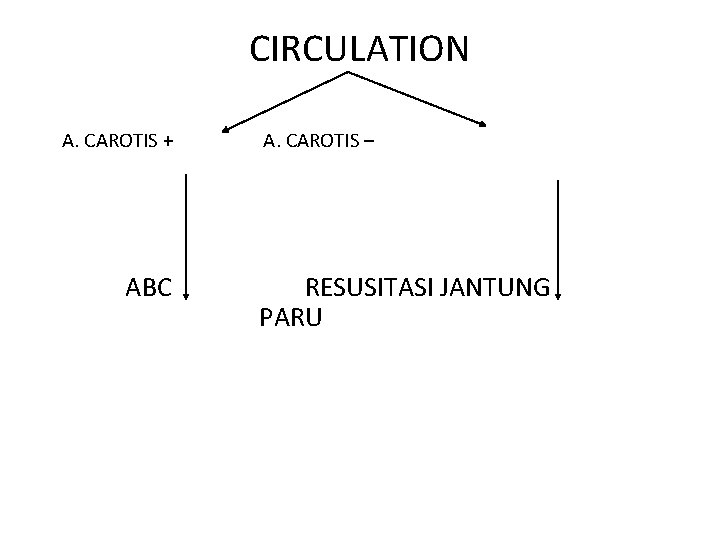 CIRCULATION A. CAROTIS + ABC A. CAROTIS – RESUSITASI JANTUNG PARU 