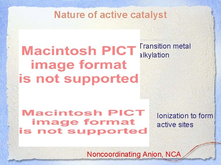 Nature of active catalyst MAO Transition metal alkylation Ionization to form active sites Noncoordinating