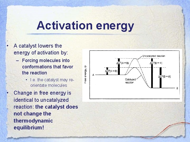 Activation energy • A catalyst lowers the energy of activation by: – Forcing molecules