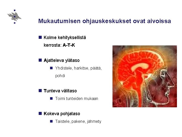 Mukautumisen ohjauskeskukset ovat aivoissa n Kolme kehityksellistä kerrosta: A-T-K n Ajatteleva ylätaso n Yhdistele,