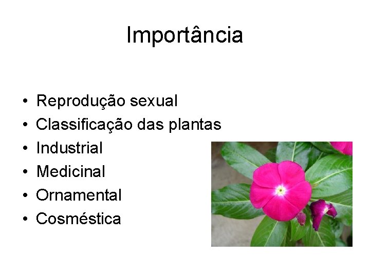 Importância • • • Reprodução sexual Classificação das plantas Industrial Medicinal Ornamental Cosméstica 