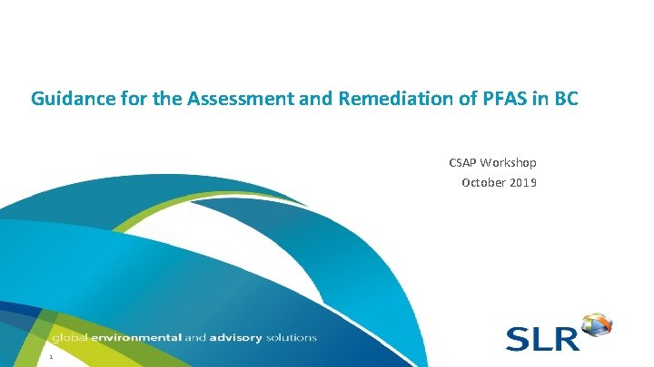Guidance for the Assessment and Remediation of PFAS in BC CSAP Workshop October 2019 Guidance for the Assessment and Remediation of PFAS in BC CSAP Workshop October 2019