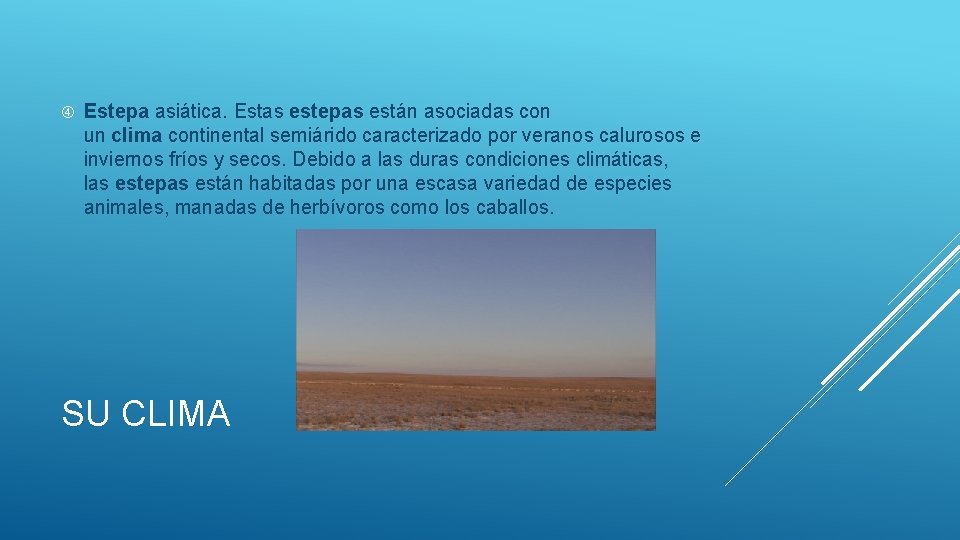  Estepa asiática. Estas estepas están asociadas con un clima continental semiárido caracterizado por