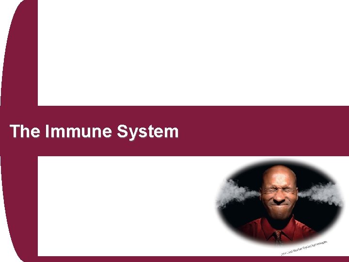 The Immune System 