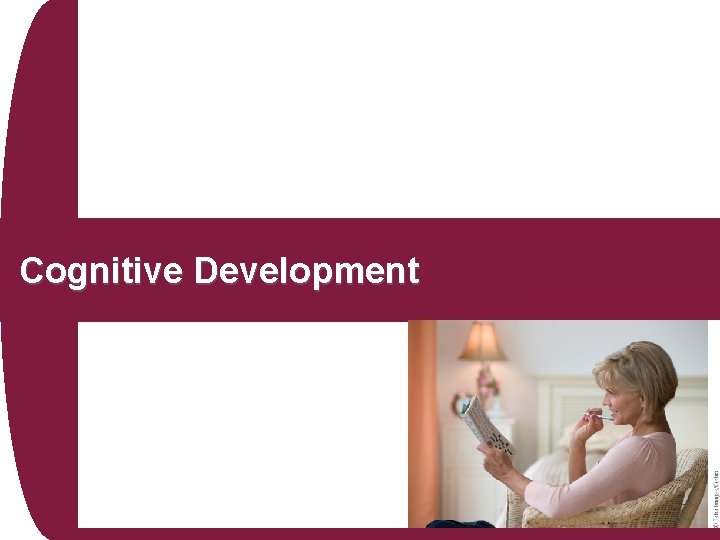 Cognitive Development 