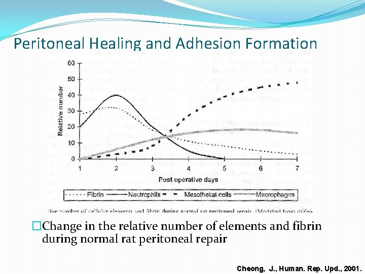 Peritoneal Healing and Adhesion Formation �Change in the relative number of elements and fibrin