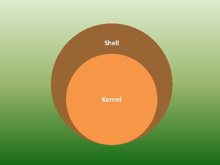 Shell Kernel 