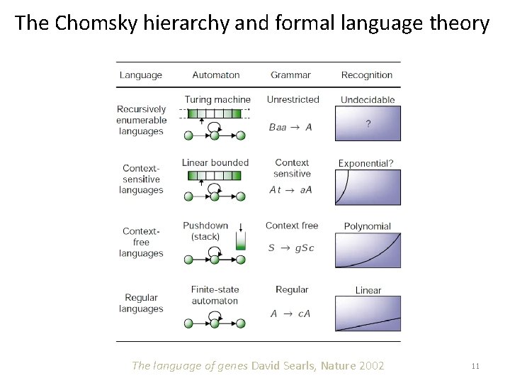 The Chomsky hierarchy and formal language theory The language of genes David Searls, Nature