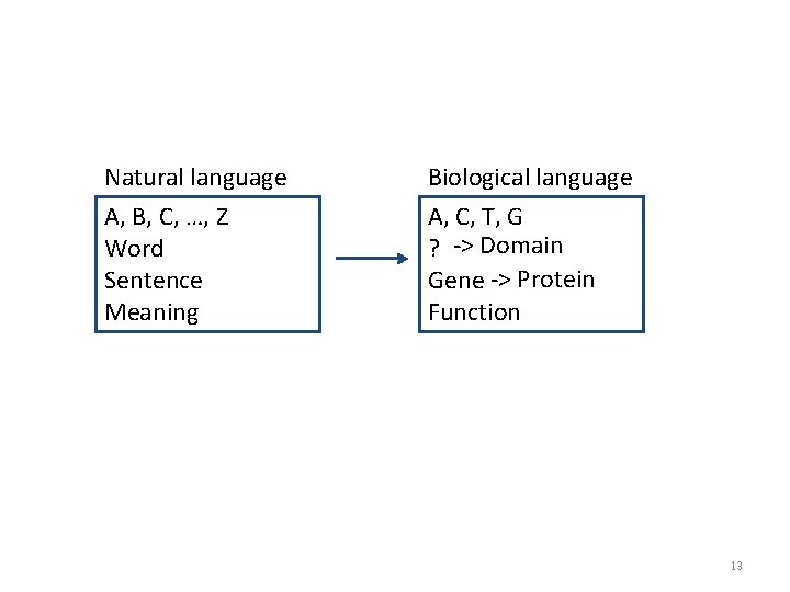Natural language Biological language A, B, C, …, Z Word Sentence Meaning A, C,