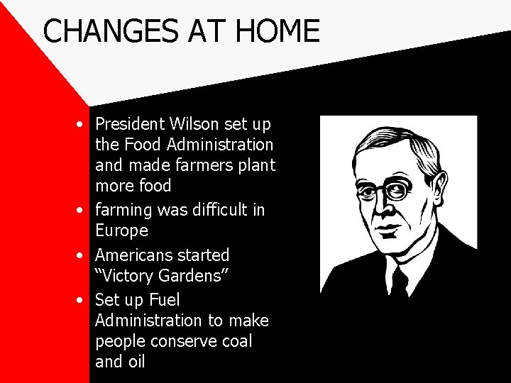 CHANGES AT HOME • President Wilson set up the Food Administration and made farmers