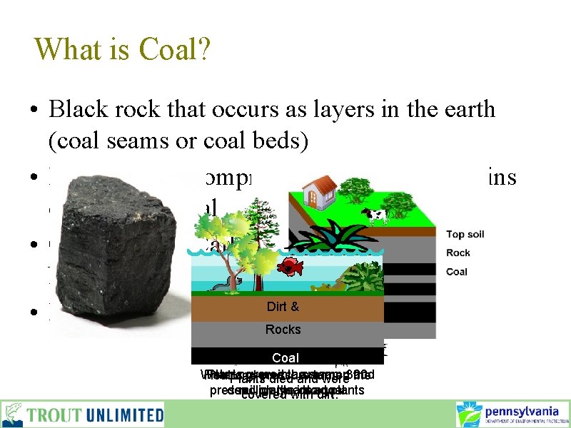 What is Coal? • Black rock that occurs as layers in the earth (coal