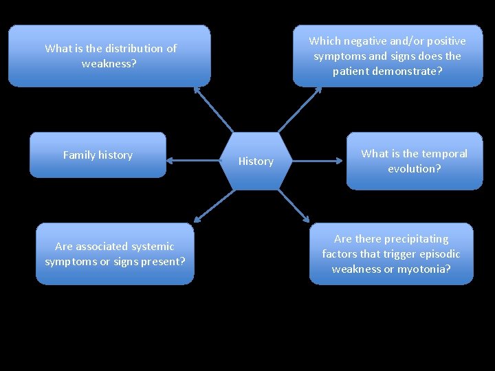 Which negative and/or positive symptoms and signs does the patient demonstrate? What is the