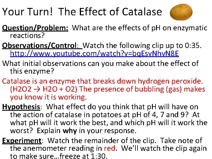 Your Turn! The Effect of Catalase Question/Problem: What are the effects of p. H