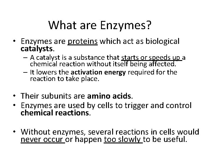 What are Enzymes? • Enzymes are proteins which act as biological catalysts. – A