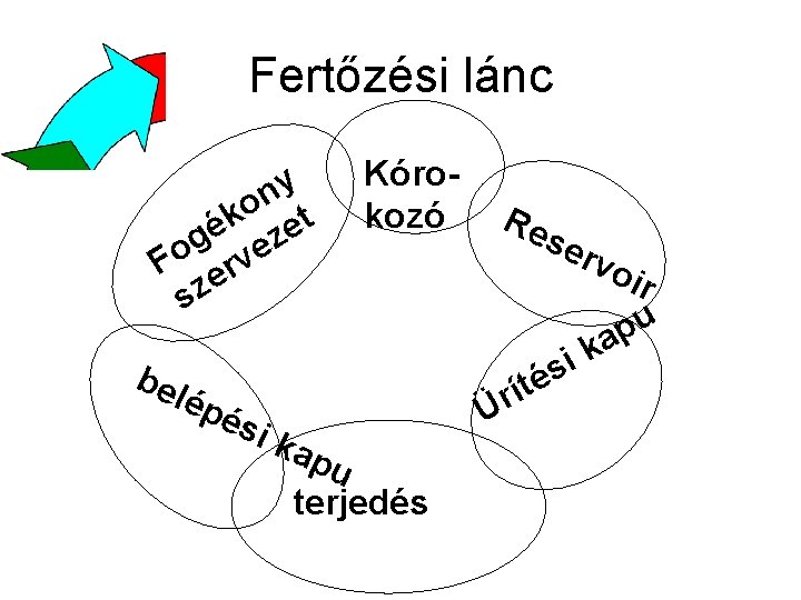 Fertőzési lánc y n o t k é ze g Fo erve sz bel