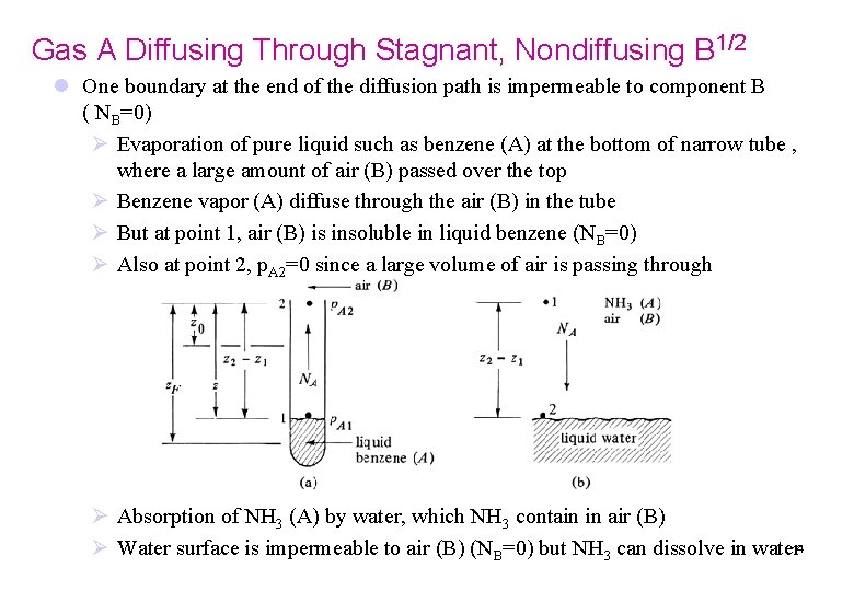 Gas A Diffusing Through Stagnant, Nondiffusing B 1/2 l One boundary at the end