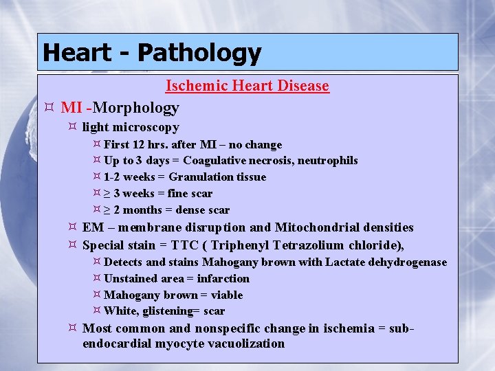 Heart - Pathology Ischemic Heart Disease MI -Morphology light microscopy First 12 hrs. after