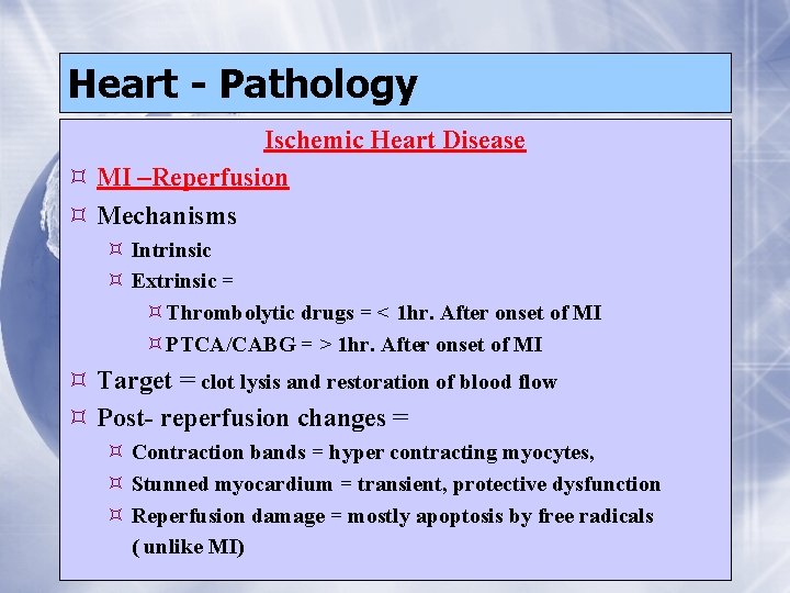 Heart - Pathology Ischemic Heart Disease MI –Reperfusion Mechanisms Intrinsic Extrinsic = Thrombolytic drugs