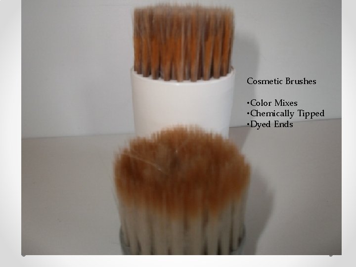 Cosmetic Brushes • Color Mixes • Chemically Tipped • Dyed Ends 