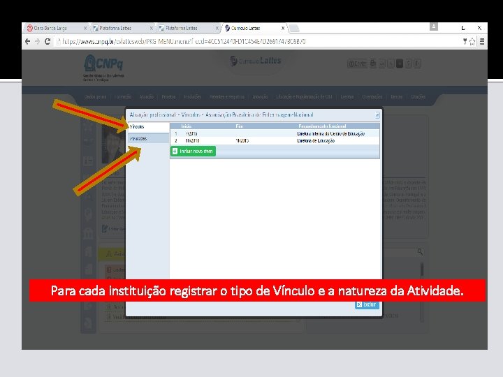 Para cada instituição registrar o tipo de Vínculo e a natureza da Atividade. 