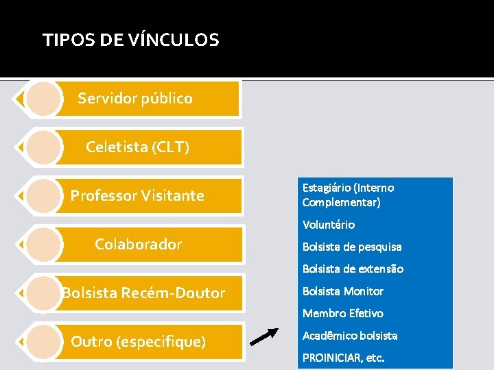 TIPOS DE VÍNCULOS Servidor público Celetista (CLT) Professor Visitante Estagiário (Interno Complementar) Voluntário Colaborador