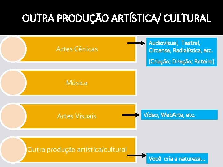OUTRA PRODUÇÃO ARTÍSTICA/ CULTURAL Artes Cênicas Audiovisual, Teatral, Circense, Radialística, etc. (Criação; Direção; Roteiro)