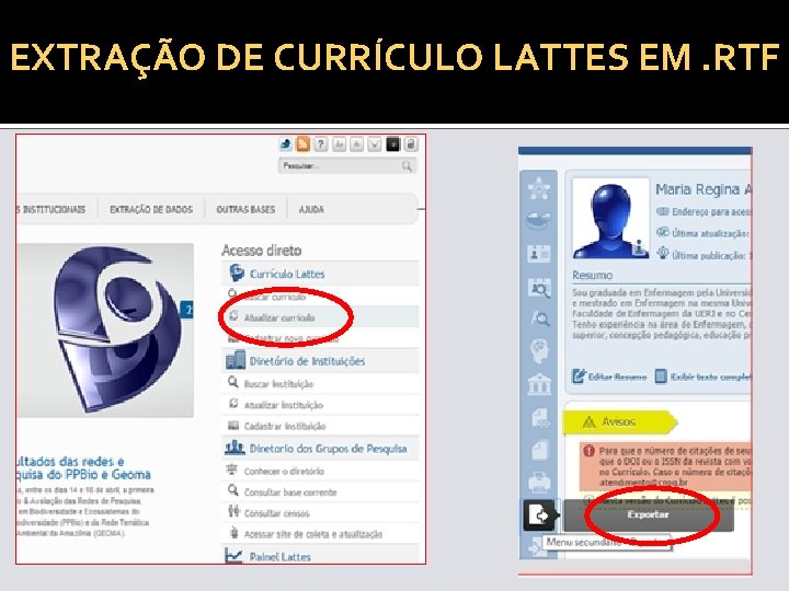 EXTRAÇÃO DE CURRÍCULO LATTES EM. RTF 