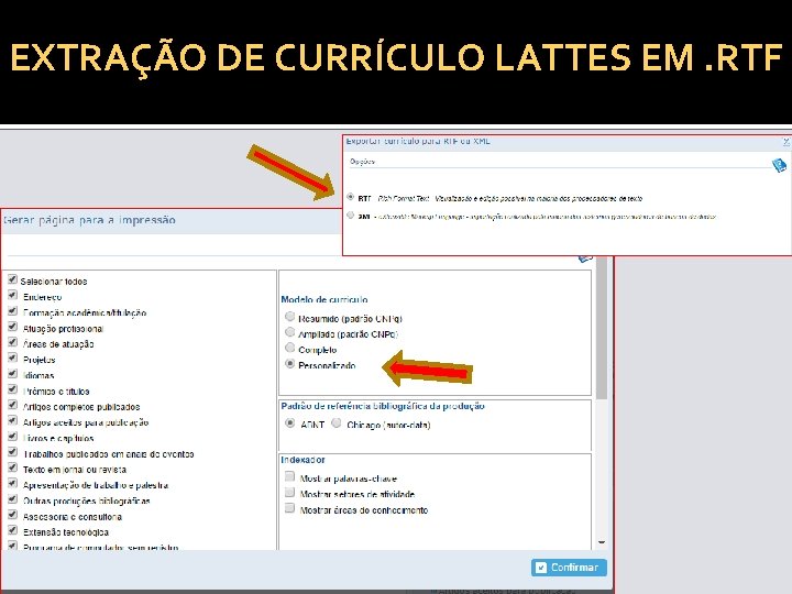 EXTRAÇÃO DE CURRÍCULO LATTES EM. RTF 