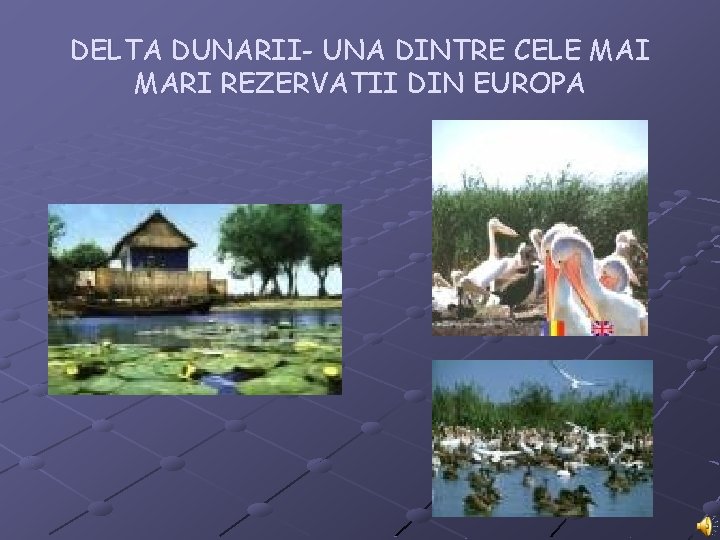 DELTA DUNARII- UNA DINTRE CELE MAI MARI REZERVATII DIN EUROPA 