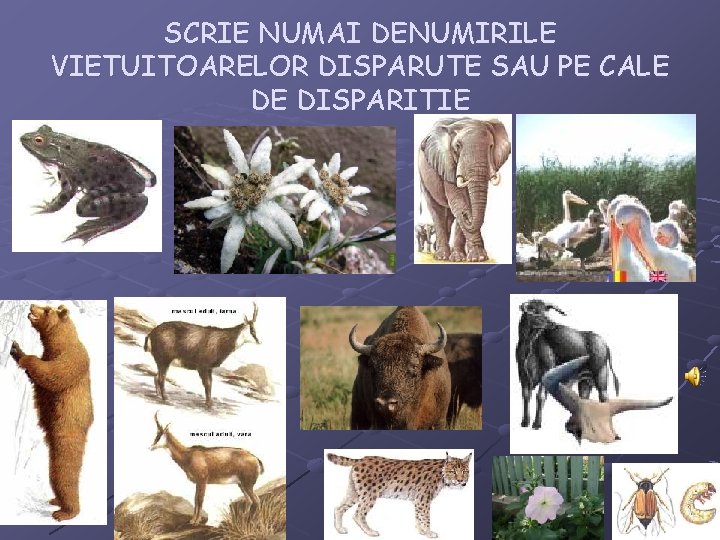 SCRIE NUMAI DENUMIRILE VIETUITOARELOR DISPARUTE SAU PE CALE DE DISPARITIE 