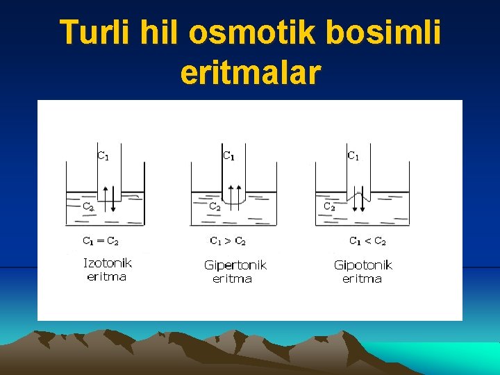 Turli hil osmotik bosimli eritmalar 