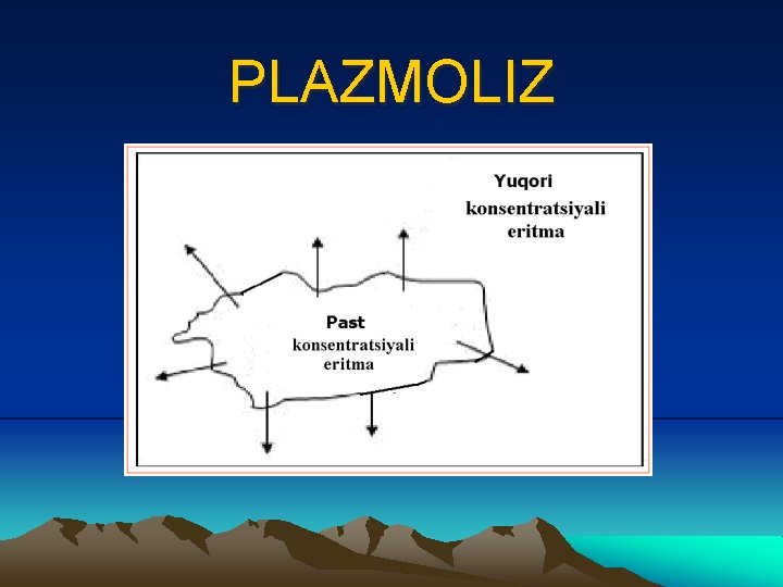 PLAZMOLIZ 