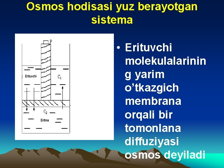 Osmos hodisasi yuz berayotgan sistema • Erituvchi molekulalarinin g yarim o’tkazgich membrana orqali bir