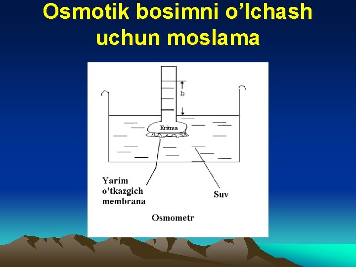 Osmotik bosimni o’lchash uchun moslama 