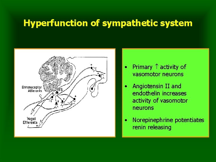 Hyperfunction of sympathetic system • Primary activity of vasomotor neurons • Angiotensin II and