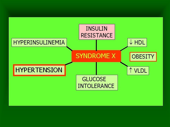 INSULIN RESISTANCE HDL HYPERINSULINEMIA SYNDROME X HYPERTENSION OBESITY VLDL GLUCOSE INTOLERANCE 