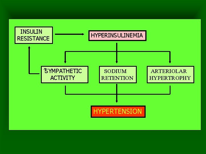 INSULIN RESISTANCE SYMPATHETIC ACTIVITY HYPERINSULINEMIA SODIUM RETENTION HYPERTENSION ARTERIOLAR HYPERTROPHY 